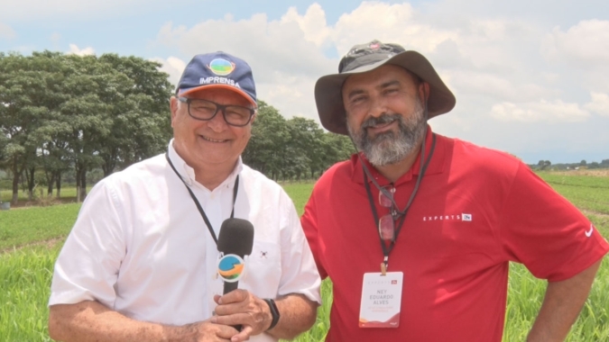 São Paulo espera boa safra de soja, mas produtores precisam ficar atentos para a janela do milho safrinha