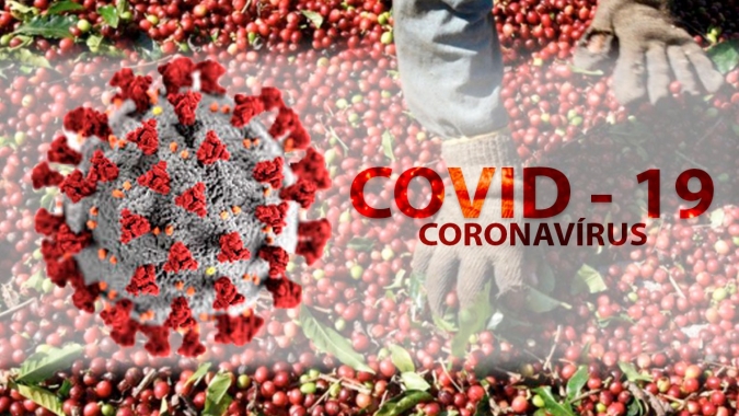 Muzambinho/MG emite decreto com diretrizes para colheita de café em 2020