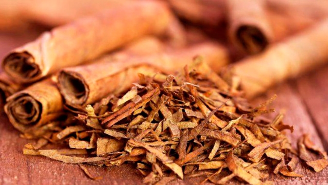 Exportações de tabaco devem apresentar acréscimo em 2021