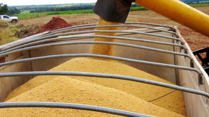Colheita de soja do Brasil avança para 58,6%, diz Safras e Mercado