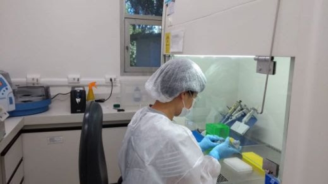 SP: Sec. de Agricultura toma medidas de prevenção e mantém pesquisas e prestação de serviços para o setor de produção