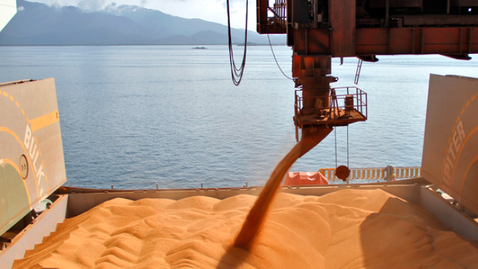 USDA informa venda de 126 mil t de soja para a China nesta 5ª feira