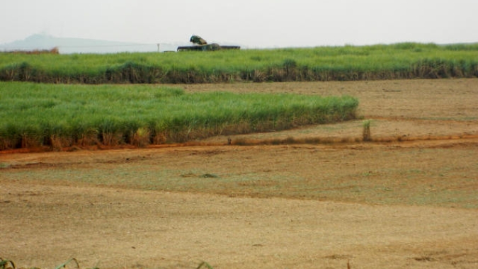 Seca nos canaviais: Entidades buscam da Secretaria Estadual de Agricultura medidas hídricas estruturais