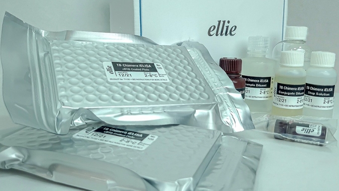 Novo kit acelera o diagnóstico da tuberculose bovina