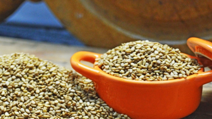 Cultivares de gergelim da Embrapa geram R$ 52,9 milhões aos produtores brasileiros