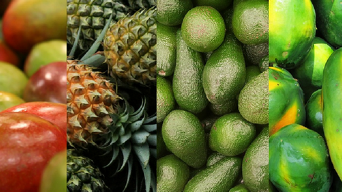 CNA trata sobre abertura de novos mercados para a fruticultura