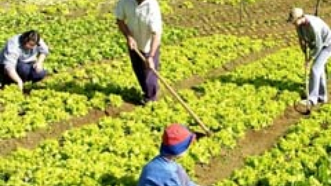Projeto que fortalece a agricultura familiar é aprovado na Câmara