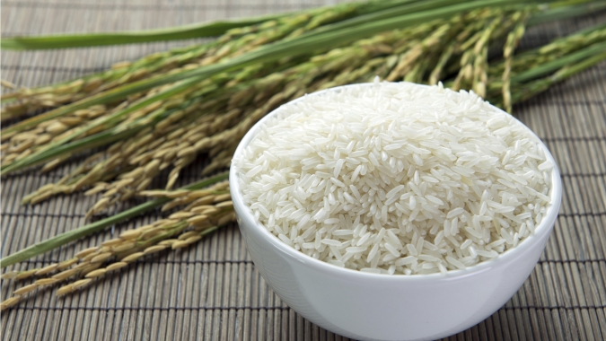Federarroz: Sustentabilidade será tema de debates na Abertura da Colheita do Arroz e Grãos em Terras Baixas