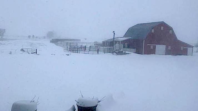 Mais neve chega a partes do Corn Belt e preocupa produtores americanos