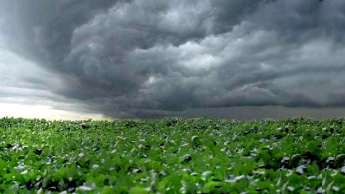 Inmet prevê chuvas abaixo da média para áreas agrícolas do Sul