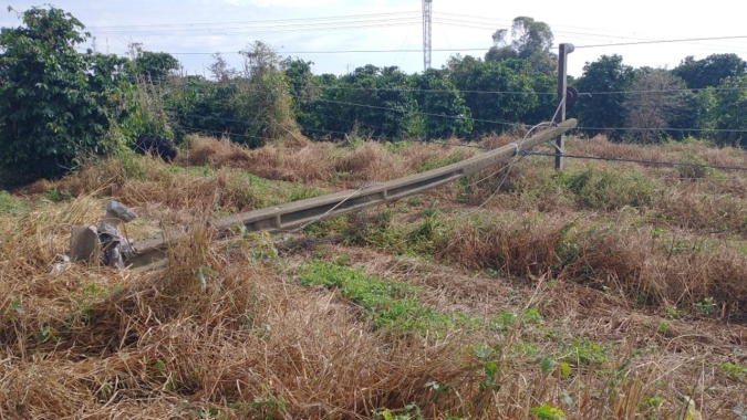 Chuva no início de abril prejudicou ainda mais desenvolvimento da safra e Serra do Salitre/MG estima 40% de quebra no arábica