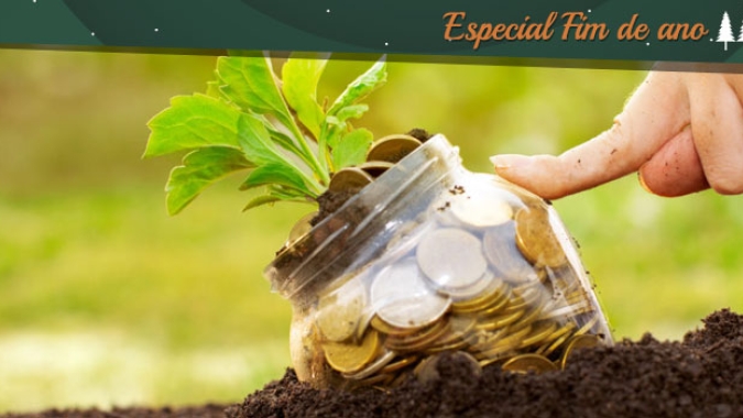 VBP do Agro cresce em 2019, mas lucro do produtor deve ser menor