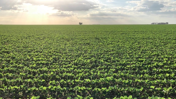Piauí: produtores, políticos e empresários debatem tendências para o Agro em 2020