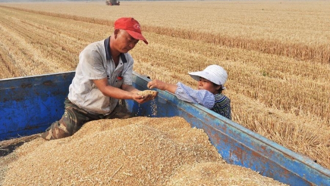China promoverá modernização de fazendas em promessa de estabilizar produção de grãos