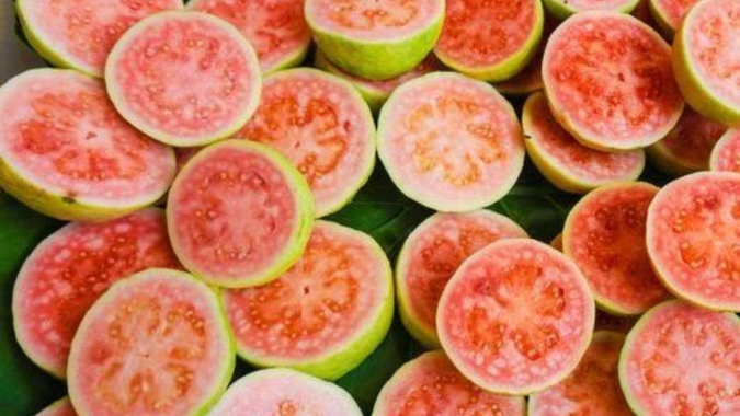 Secretaria de Agricultura e Abastecimento transfere técnicas de manejo para o cultivo de figo e goiaba