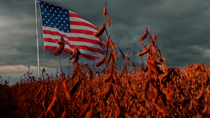 Produtores americanos vivem calamidade financeira que dá sinais importantes ao mercado da soja no BR