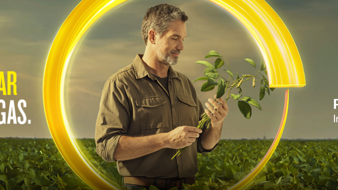 Syngenta confirma o registro de PLINAZOLIN® technology, molécula que irá transformar o manejo de pragas no Brasil