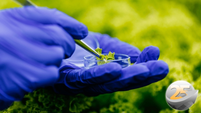 Aprosoja BR defende produção de bioinsumos e tenta reverter projeto de lei no Senado que busca tornar a prática ilegal