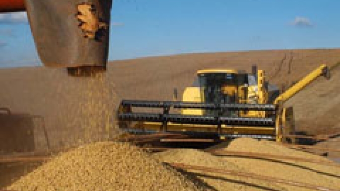 Colheita de soja de MT atinge 90,42% da área, plantio de milho está quase finalizado