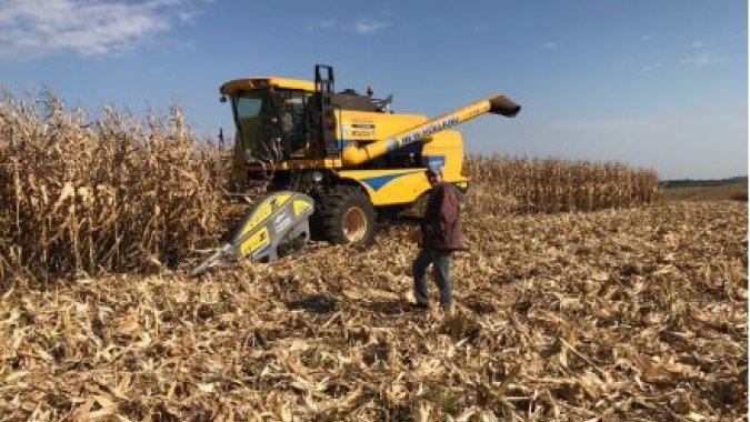 2019: Com 2,1 mil novas vagas, agropecuária de MS gera empregos acima da média nacional