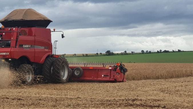 Monitoramento Agrícola registra chuvas em todas as regiões produtoras do país