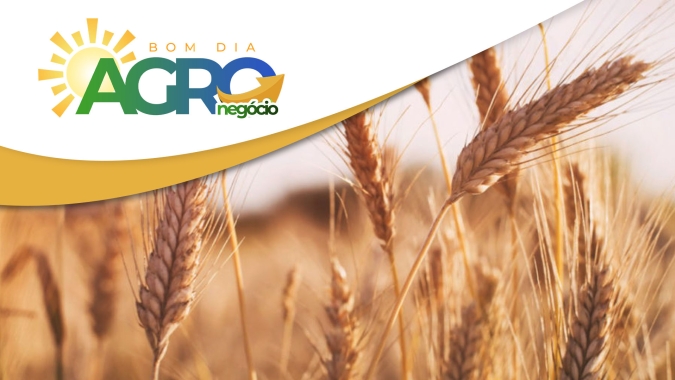Confira as primeiras notícias desta manhã de 2ª feira