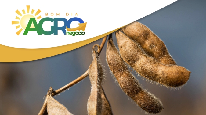 Confira as primeiras e principais notícias da manhã desta 3ª feira (5)