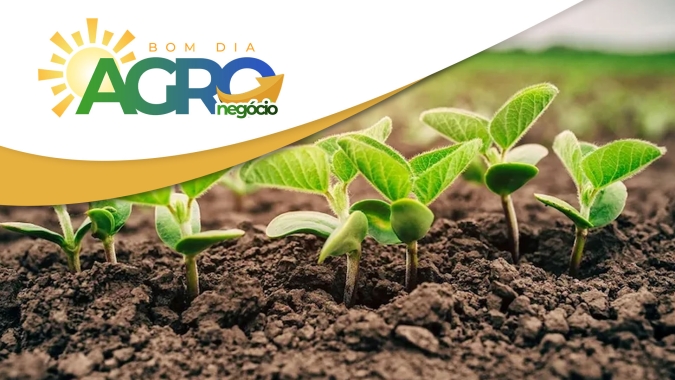 Confira as primeiras e principais notícias da manhã desta terça-feira (19)