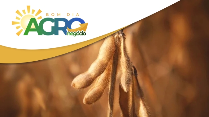 Confira as primeiras e principais notícias desta 6ª feira (22)