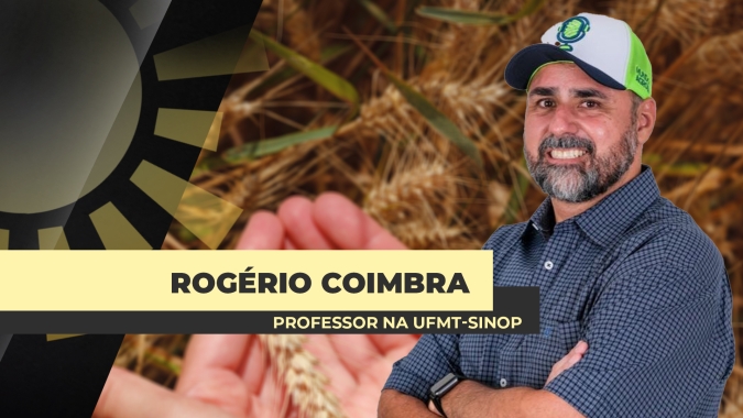 Soja 25/26: Início de plantio deve aguardar por chuvas mais persistentes e volumosas, como as previstas para 1ª semana de outubro