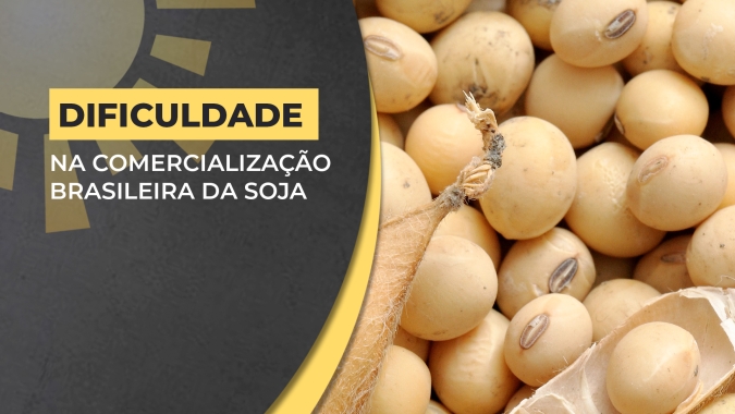 Dificuldade na comercialização brasileira da soja