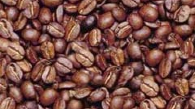 Venda de café do Brasil avança a 53% da colheita, conilon se destaca, diz Safras