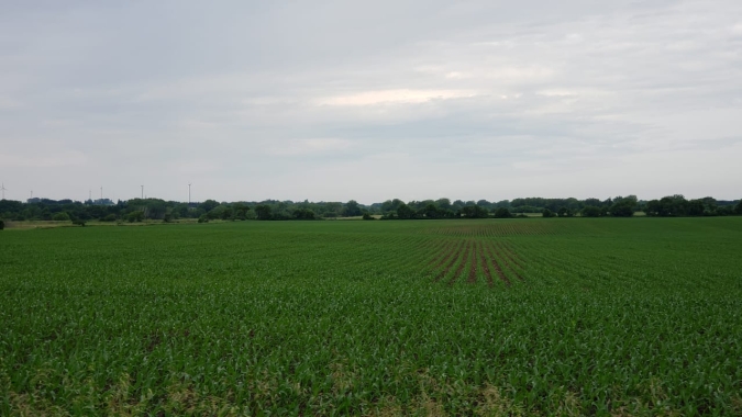Novas fotos mostram boas condições de plantio e desenvolvimento em Iowa e Minnesota