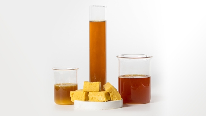 Sebo bovino vive fase histórica com produção recorde e biodiesel absorvendo mais da metade da oferta