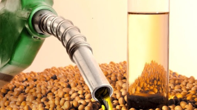 Governo brasileiro deve elevar mistura de biodiesel para 12% em 2023, dizem fontes