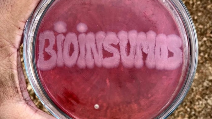Brasil deve liderar mercado global de bioinsumos até 2030