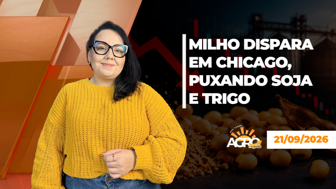 BOA TARDE AGRONEGÓCIO