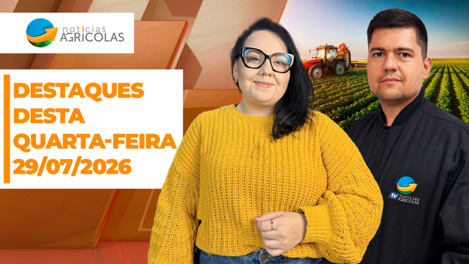 Boa tarde Agronegócio - Confira os principais destaques desta quarta-feria (29)