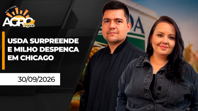 Boa Tarde Agro - Estoques do USDA surpreendem para cima e pressionam milho em Chicago; consultoria recomenda cautela na safra