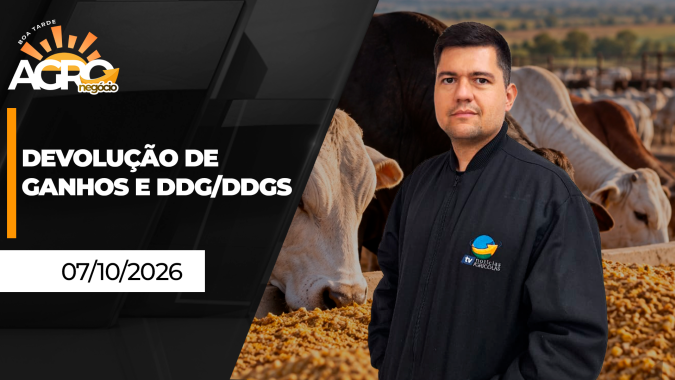 Boa Tarde Agro - Bolsas devolvem últimos ganhos nas commodities agrícolas; Brasil avança no DDG/DDGS