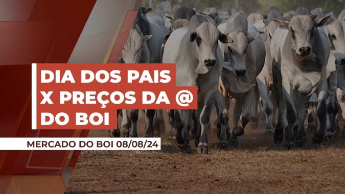 Consumo de carne no dia dos pais e necessidade dos frigoríficos de formar novos estoques vão direcionar mercado do boi