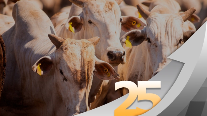 Exportações recordes de carne bovina para janeiro tornam vendas externas fator relevante para preços da arroba do boi