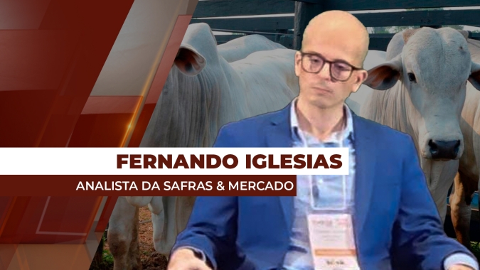 Frigoríficos começam a se mostrar aos poucos para compras nesta primeira semana cheia do ano