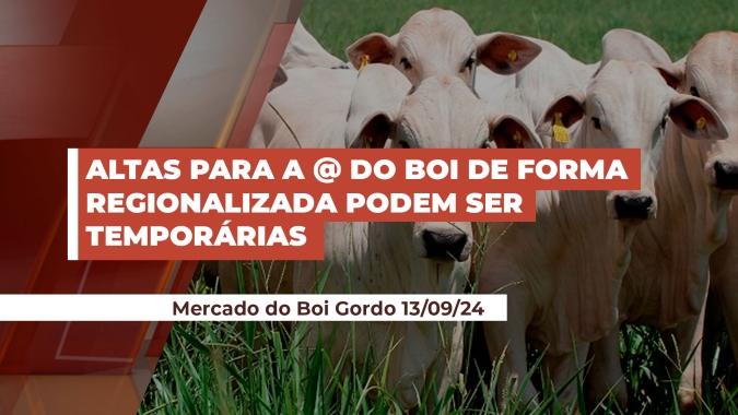 Frigoríficos buscando por lotes de bois em outras praças e elevando preços regionalmente deve ser movimento temporário, diz especialista