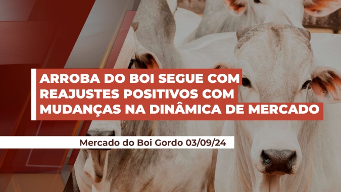 Habilitações de grandes frigoríficos no MT e MS para a China mudam dinâmica do mercado e ajudam a puxar preços da @ do boi