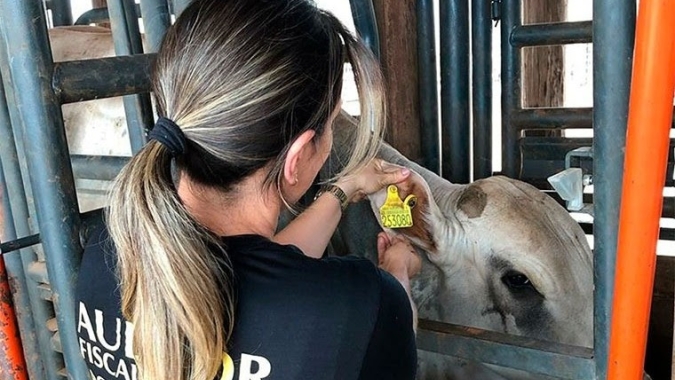 Anffa Sindical alerta para os riscos da tuberculose bovina em animais e seres humanos