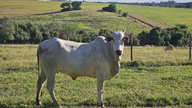 Agrobrazil: Negócios captados em São Paulo têm média de R$ 307,19