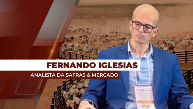 Preço do traseiro bovino no atacado cedeu 5% nesta semana
