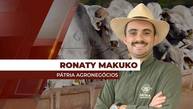 Oferta menor de animais prontos para o abate no interior do Brasil tem encurtado diferencial de base com SP