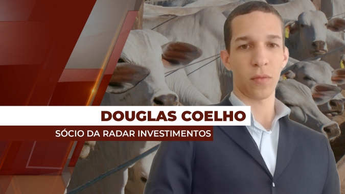 Exportações estão segurando quedas mais abruptas no preço da arroba do boi gordo